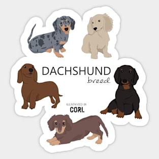 Dachshund breed Sticker